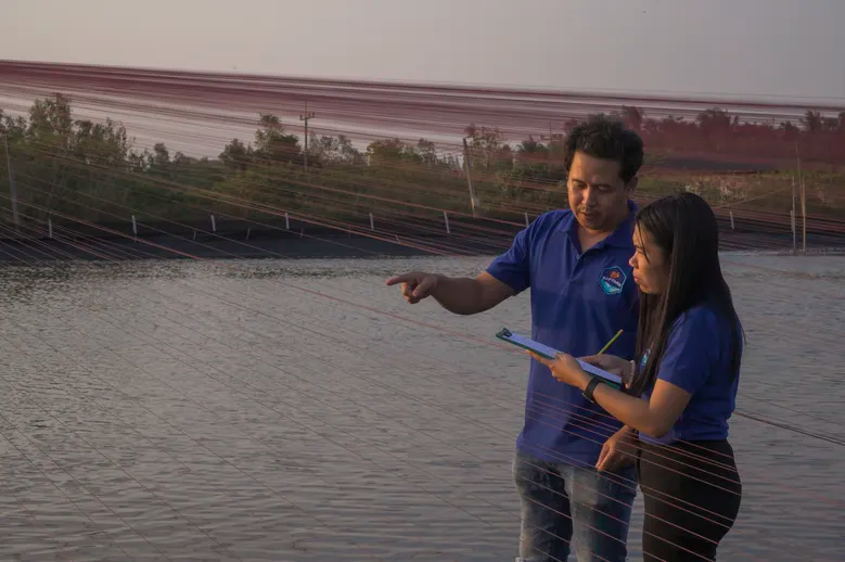 Auditing a shrimp pond in Thailand