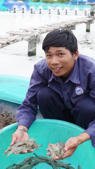 Shrimp farmer in Vietnam