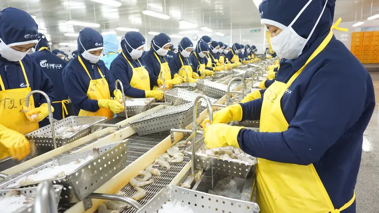 Shrimp processing plant in Vietnam