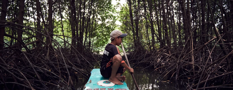 A boy sitting on a boat moving through mangroves