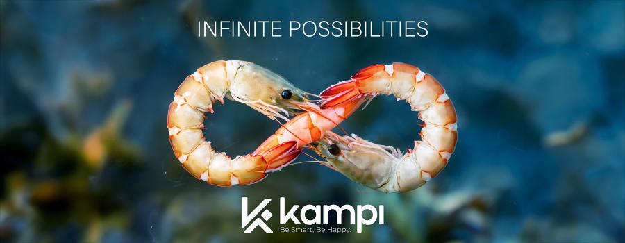 Kampi—Infinite Possibilities