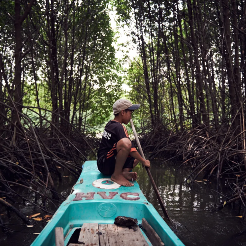 A boy sitting on a boat moving through mangroves
