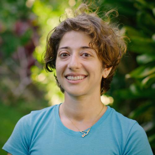 Suzan Shahrestani, PhD