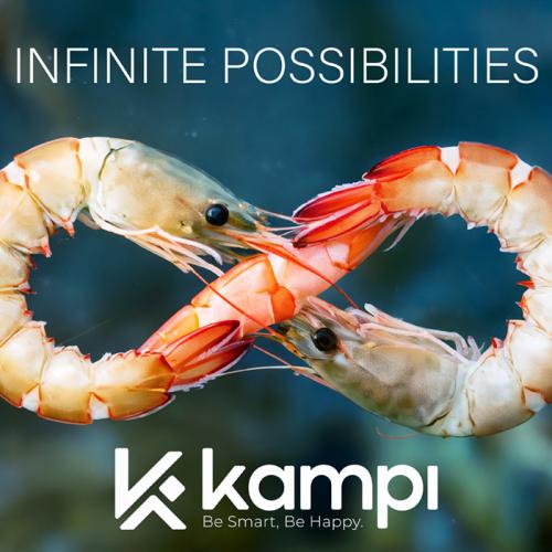 Kampi—Infinite Possibilities