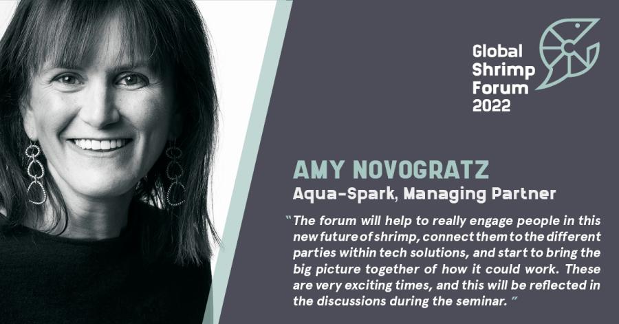 Amy Novogratz will chair the Innovation and Technology seminar